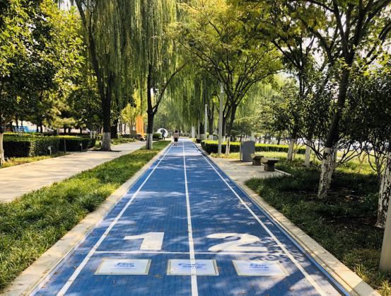 家門口的智能步道——南京花神湖智能體育公園正式開園啦！