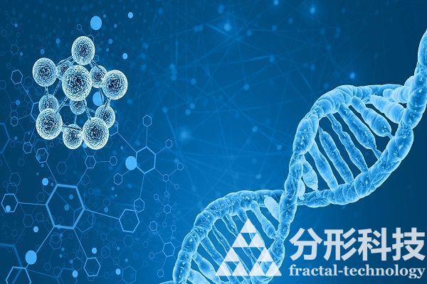 醫院網站建設：打造數字化醫院新名片